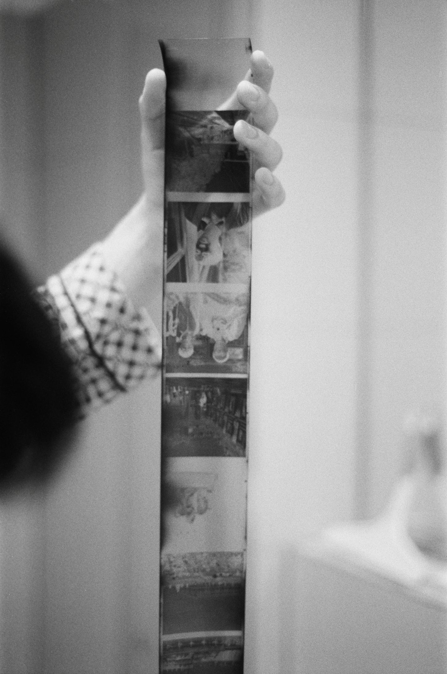 Kodachrome K-14 Film Developing Service