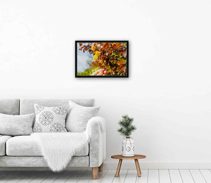 Town Map Posters and Photographs