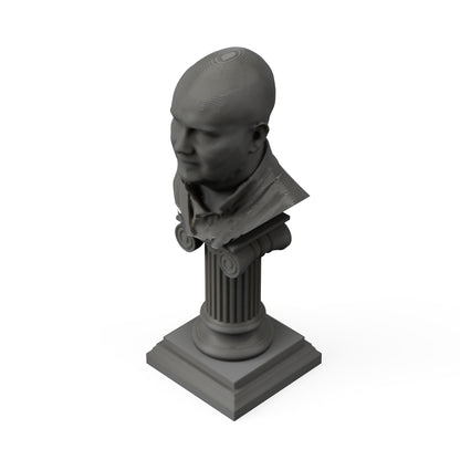 3D Printed Bust