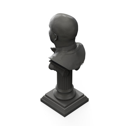 3D Printed Bust
