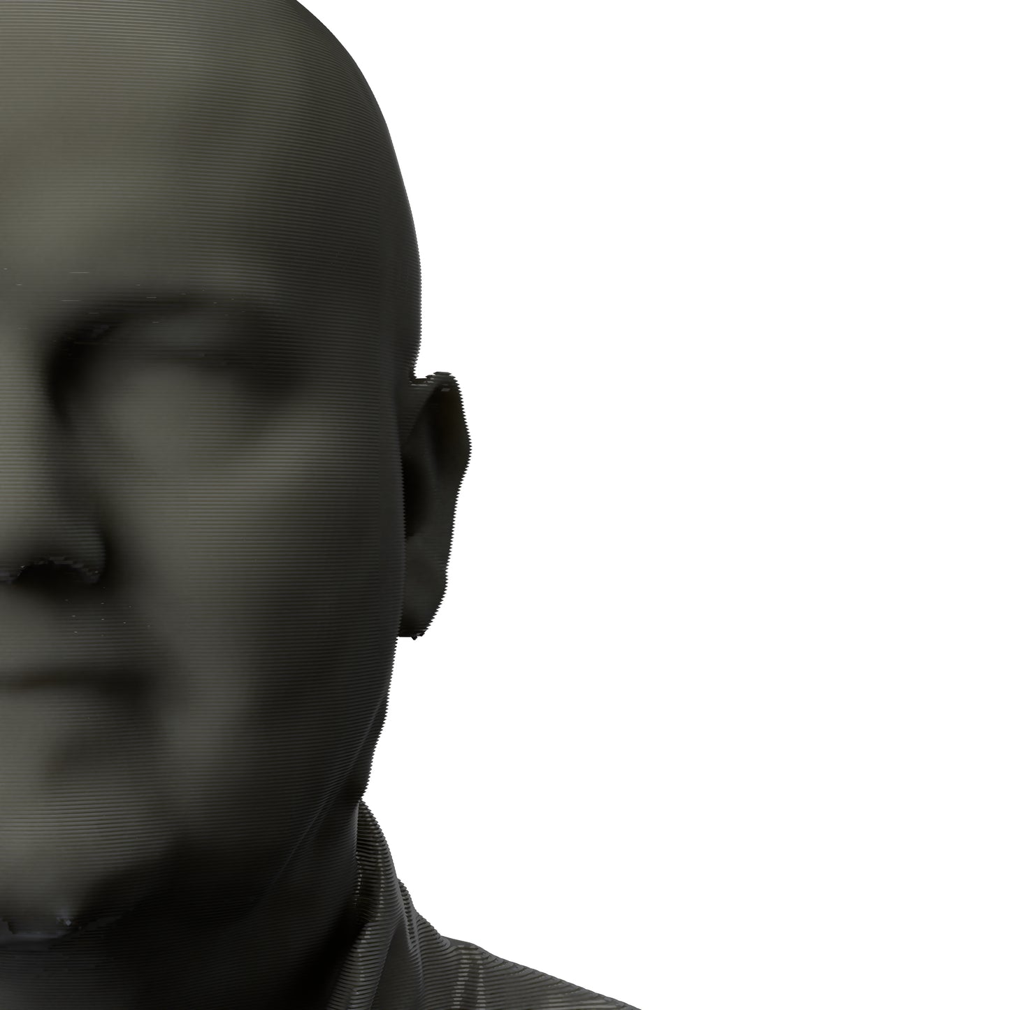 3D Printed Bust