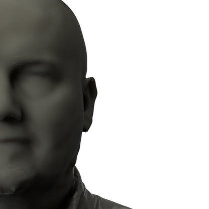 3D Printed Bust